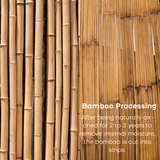 ZHUSROD Handcrafted Bamboo Fly Rod, 2-Section 2Tips Tonkin Cane Fly Fishing Rod with Double Tips, Classic Heritage Tapers (5' to 8'6", 3wt-6wt), Includes Agate Guide & Handmade Bag