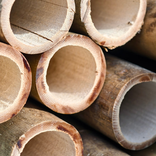 The Art and Science of Bamboo Fly Rod Making: A Comprehensive Technical Guide