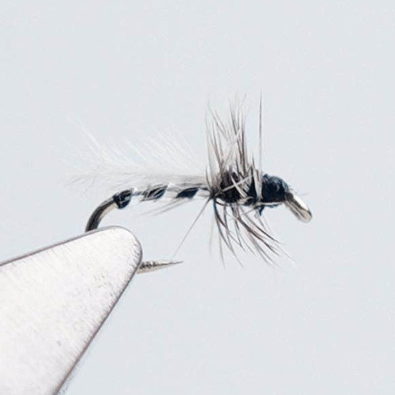 PWS Premium Hand-Tied Fly Fishing Flies Assortment - Dry Flies, Nymphs, Woolly Buggers for Trout Bass Panfish - Ten | ZHUSROD