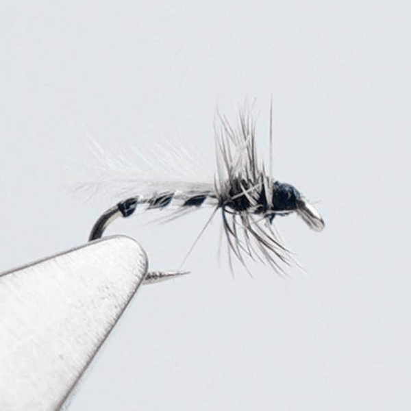 PWS Premium Hand-Tied Fly Fishing Flies Assortment - Dry Flies, Nymphs, Woolly Buggers for Trout Bass Panfish - Ten | ZHUSROD