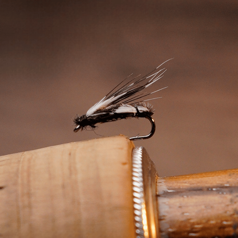 PWS Premium Hand-Tied Fly Fishing Flies Assortment - Dry Flies, Nymphs, Woolly Buggers for Trout Bass Panfish - Tenkara & Fly Fishing Lures Kit #4-#20