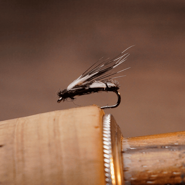 PWS Premium Hand-Tied Fly Fishing Flies Assortment - Dry Flies, Nymphs, Woolly Buggers for Trout Bass Panfish - Tenkara & Fly Fishing Lures Kit #4-#20