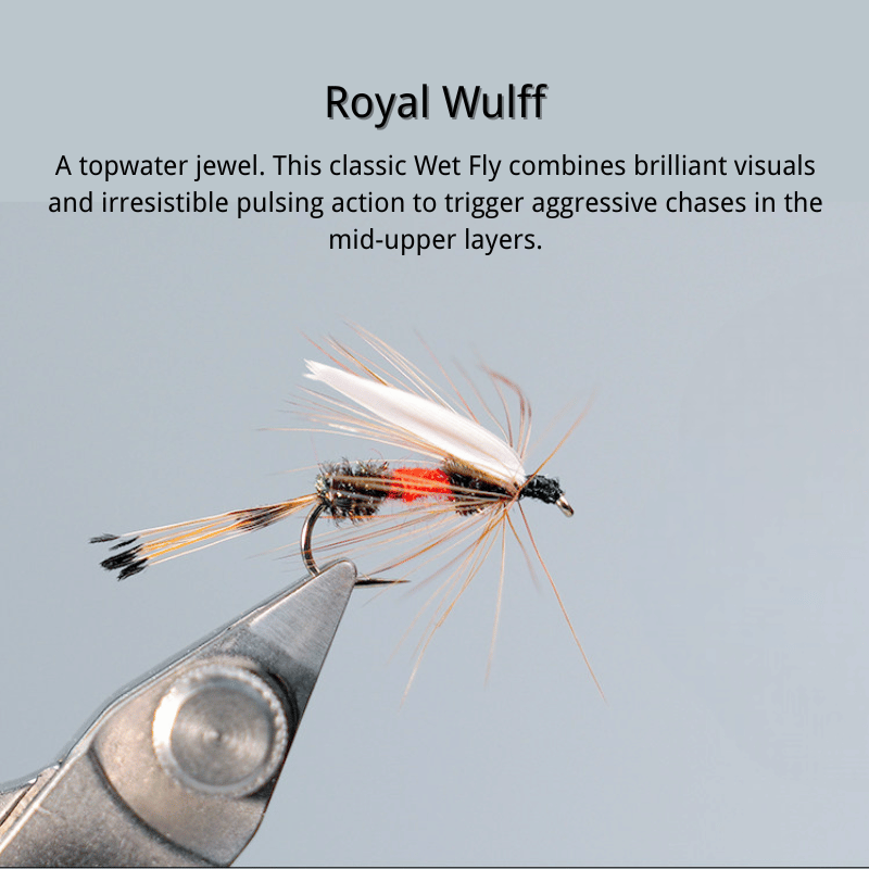 PWS Premium Hand-Tied Fly Fishing Flies Assortment - Dry Flies, Nymphs, Woolly Buggers for Trout Bass Panfish - Tenkara & Fly Fishing Lures Kit #4-#20
