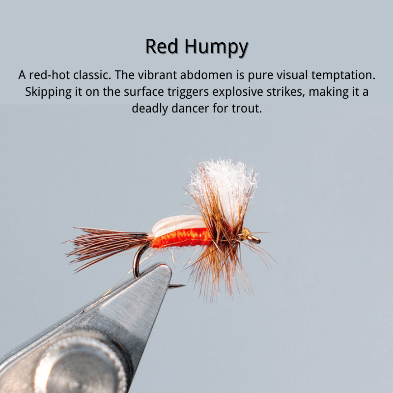 PWS Premium Hand-Tied Fly Fishing Flies Assortment - Dry Flies, Nymphs, Woolly Buggers for Trout Bass Panfish - Tenkara & Fly Fishing Lures Kit #4-#20