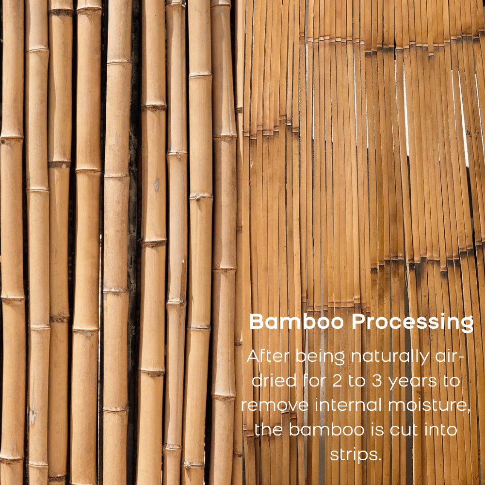 280pcs Tonkin Bamboo Strips for Fly Rod Building, 1.7m Premium Split Cane Strips from Huaiji China, High Elastic Me | ZHUSROD