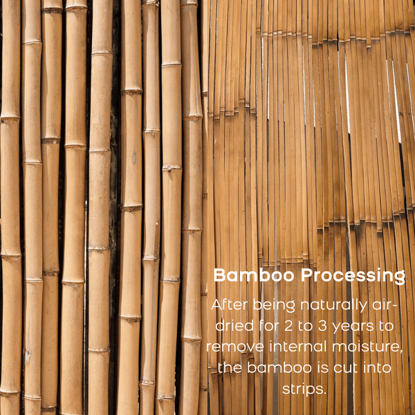 280pcs Tonkin Bamboo Strips for Fly Rod Building, 1.7m Premium Split Cane Strips from Huaiji China, High Elastic Me | ZHUSROD