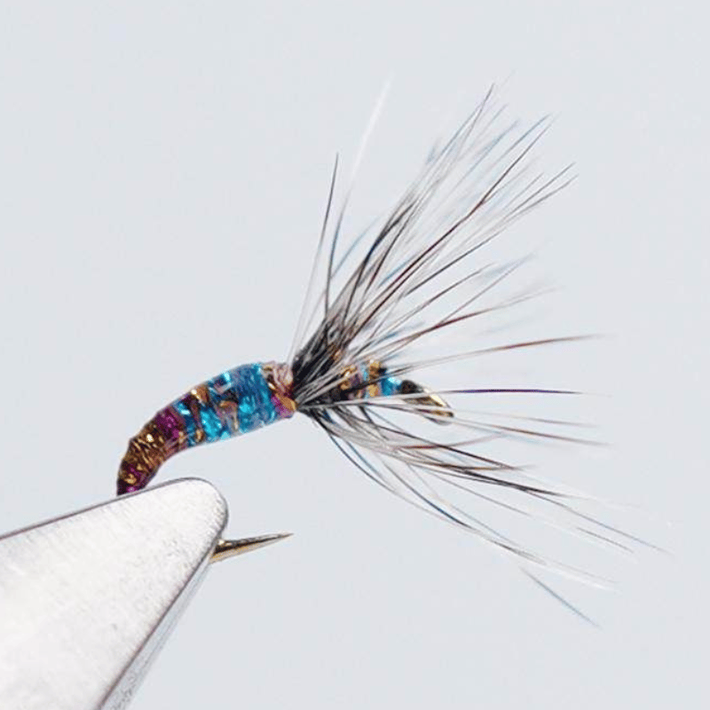 PWS Premium Hand-Tied Fly Fishing Flies Assortment - Dry Flies, Nymphs, Woolly Buggers for Trout Bass Panfish - Ten | ZHUSROD