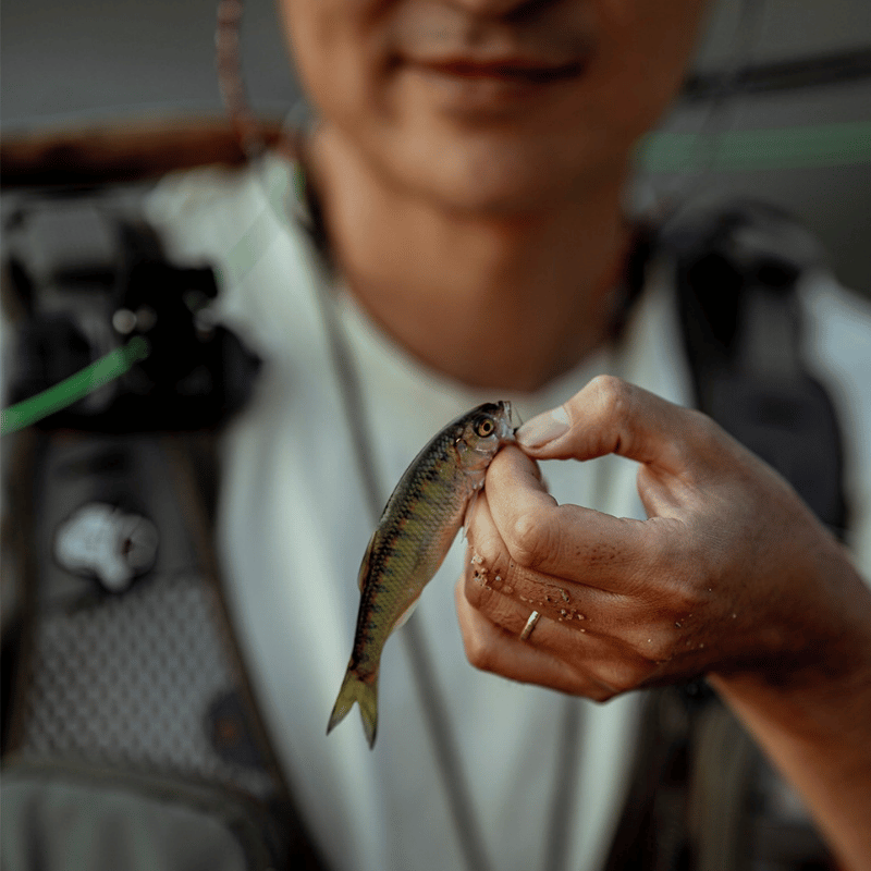 PWS Premium Hand-Tied Fly Fishing Flies Assortment - Dry Flies, Nymphs, Woolly Buggers for Trout Bass Panfish - Tenkara & Fly Fishing Lures Kit #4-#20