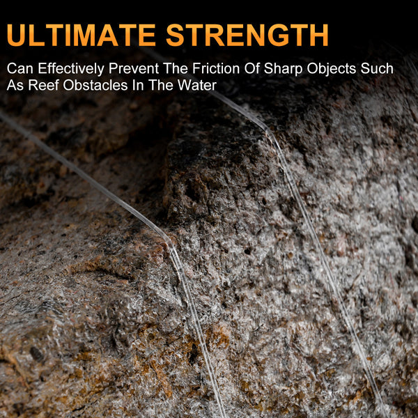 LEO FISHING 100% Fluorocarbon Fishing Line Leader - 100M Abrasion Resistant Invisible Underwater Clear Leader Line | ZHUSROD
