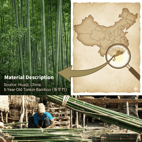 Bamboo forest in China for fishing rod material sourcing