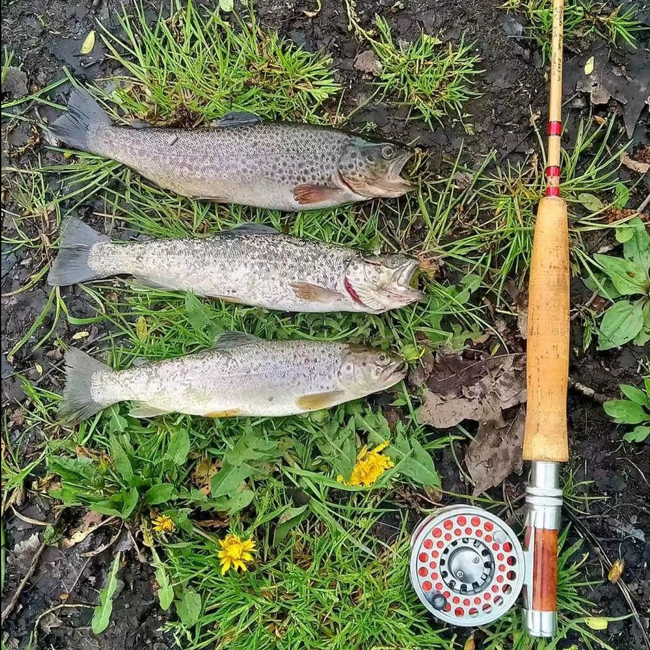5wt | 8ft | 3ピース | 竹製フライロッドブランク | クロスドライ
