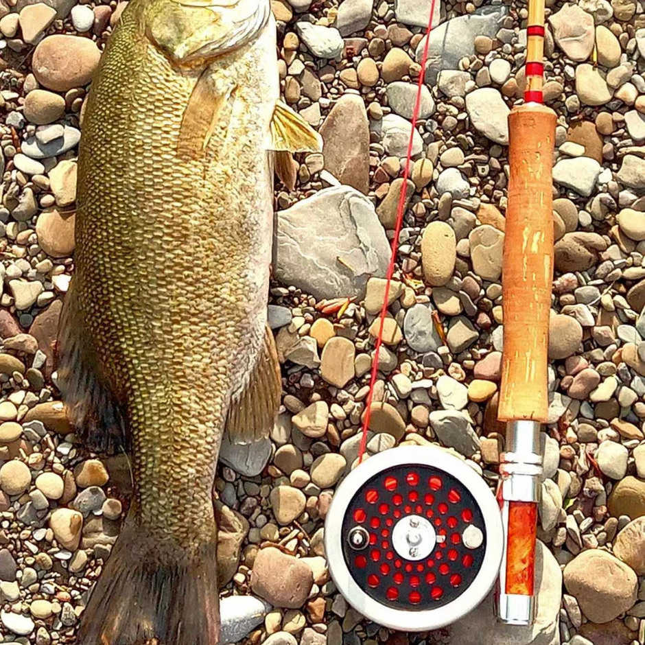 5wt | 8ft | 3ピース | 竹製フライロッドブランク | クロスドライ